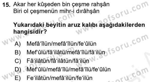 XVI. Yüzyıl Türk Edebiyatı Dersi 2018 - 2019 Yılı (Final) Dönem Sonu Sınav Soruları 15. Soru
