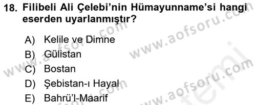 XVI. Yüzyıl Türk Edebiyatı Dersi 2018 - 2019 Yılı (Final) Dönem Sonu Sınav Soruları 18. Soru