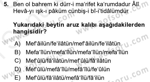 XVI. Yüzyıl Türk Edebiyatı Dersi 2018 - 2019 Yılı (Final) Dönem Sonu Sınav Soruları 5. Soru