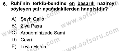 XVI. Yüzyıl Türk Edebiyatı Dersi 2018 - 2019 Yılı (Final) Dönem Sonu Sınav Soruları 6. Soru