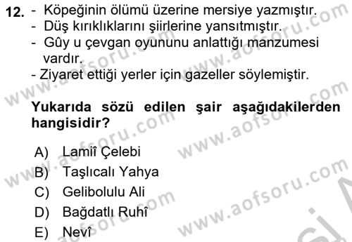 XVI. Yüzyıl Türk Edebiyatı Dersi 2018 - 2019 Yılı Yaz Okulu Sınav Soruları 12. Soru