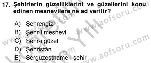 XVI. Yüzyıl Türk Edebiyatı Dersi 2018 - 2019 Yılı Yaz Okulu Sınavı 17. Soru