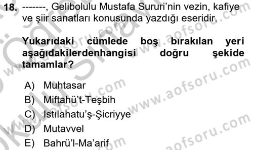 XVI. Yüzyıl Türk Edebiyatı Dersi 2018 - 2019 Yılı Yaz Okulu Sınav Soruları 18. Soru
