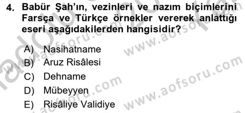 XVI. Yüzyıl Türk Edebiyatı Dersi 2018 - 2019 Yılı Yaz Okulu Sınav Soruları 4. Soru