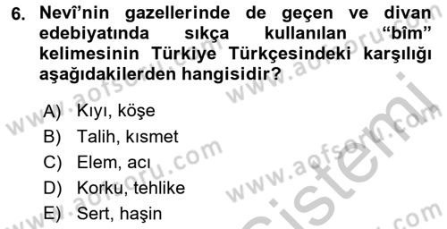 XVI. Yüzyıl Türk Edebiyatı Dersi 2018 - 2019 Yılı Yaz Okulu Sınav Soruları 6. Soru