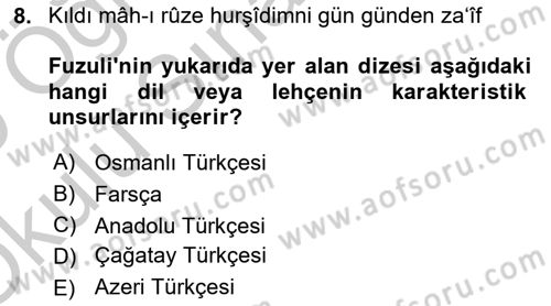 XVI. Yüzyıl Türk Edebiyatı Dersi 2018 - 2019 Yılı Yaz Okulu Sınav Soruları 8. Soru