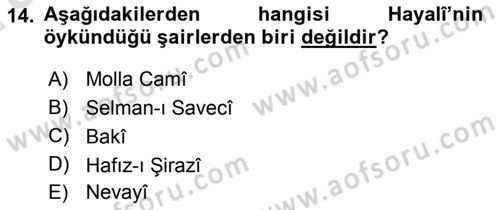 XVI. Yüzyıl Türk Edebiyatı Dersi 2019 - 2020 Yılı (Vize) Ara Sınav Soruları 14. Soru