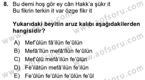XVI. Yüzyıl Türk Edebiyatı Dersi 2019 - 2020 Yılı (Vize) Ara Sınav Soruları 8. Soru