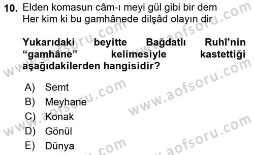 XVI. Yüzyıl Türk Edebiyatı Dersi 2019 - 2020 Yılı (Final) Dönem Sonu Sınavı 10. Soru