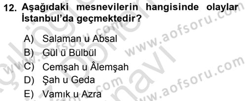 XVI. Yüzyıl Türk Edebiyatı Dersi 2019 - 2020 Yılı (Final) Dönem Sonu Sınav Soruları 12. Soru