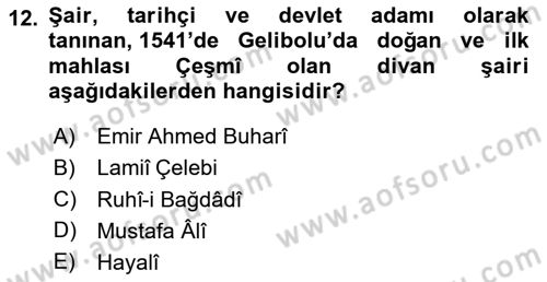 XVI. Yüzyıl Türk Edebiyatı Dersi 2020 - 2021 Yılı Yaz Okulu Sınav Soruları 12. Soru
