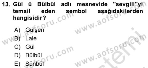 XVI. Yüzyıl Türk Edebiyatı Dersi 2020 - 2021 Yılı Yaz Okulu Sınav Soruları 13. Soru
