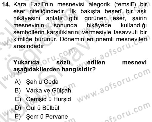 XVI. Yüzyıl Türk Edebiyatı Dersi 2020 - 2021 Yılı Yaz Okulu Sınav Soruları 14. Soru