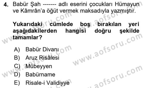 XVI. Yüzyıl Türk Edebiyatı Dersi 2020 - 2021 Yılı Yaz Okulu Sınav Soruları 4. Soru