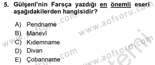 XVI. Yüzyıl Türk Edebiyatı Dersi 2020 - 2021 Yılı Yaz Okulu Sınav Soruları 5. Soru