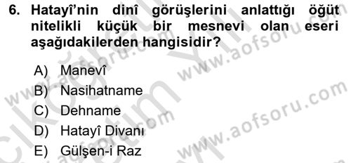 XVI. Yüzyıl Türk Edebiyatı Dersi 2020 - 2021 Yılı Yaz Okulu Sınav Soruları 6. Soru