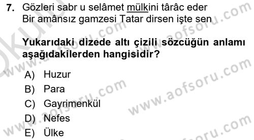 XVI. Yüzyıl Türk Edebiyatı Dersi 2020 - 2021 Yılı Yaz Okulu Sınav Soruları 7. Soru