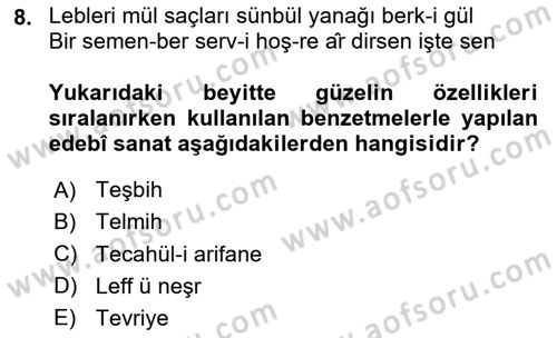 XVI. Yüzyıl Türk Edebiyatı Dersi 2020 - 2021 Yılı Yaz Okulu Sınav Soruları 8. Soru
