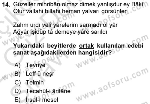 XVI. Yüzyıl Türk Edebiyatı Dersi 2021 - 2022 Yılı (Vize) Ara Sınav Soruları 14. Soru