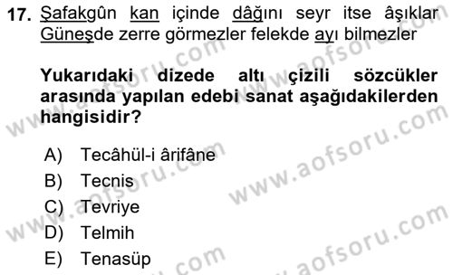 XVI. Yüzyıl Türk Edebiyatı Dersi 2021 - 2022 Yılı (Vize) Ara Sınav Soruları 17. Soru