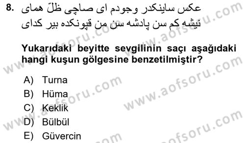 XVI. Yüzyıl Türk Edebiyatı Dersi 2021 - 2022 Yılı (Vize) Ara Sınav Soruları 8. Soru
