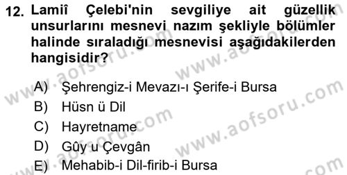 XVI. Yüzyıl Türk Edebiyatı Dersi 2021 - 2022 Yılı (Final) Dönem Sonu Sınav Soruları 12. Soru