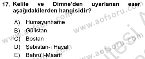 XVI. Yüzyıl Türk Edebiyatı Dersi 2021 - 2022 Yılı (Final) Dönem Sonu Sınav Soruları 17. Soru