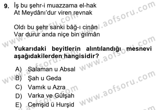 XVI. Yüzyıl Türk Edebiyatı Dersi 2021 - 2022 Yılı (Final) Dönem Sonu Sınav Soruları 9. Soru