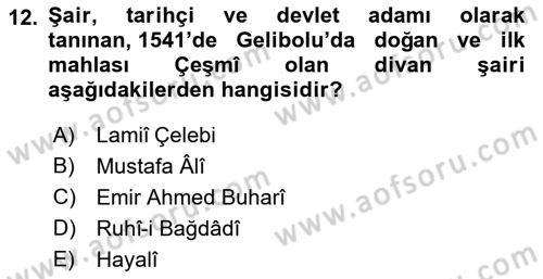 XVI. Yüzyıl Türk Edebiyatı Dersi 2021 - 2022 Yılı Yaz Okulu Sınav Soruları 12. Soru