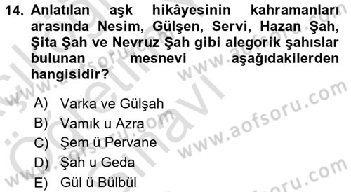 XVI. Yüzyıl Türk Edebiyatı Dersi 2021 - 2022 Yılı Yaz Okulu Sınav Soruları 14. Soru