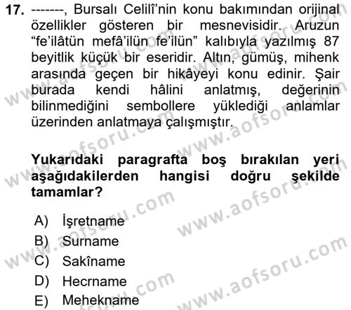 XVI. Yüzyıl Türk Edebiyatı Dersi 2021 - 2022 Yılı Yaz Okulu Sınav Soruları 17. Soru