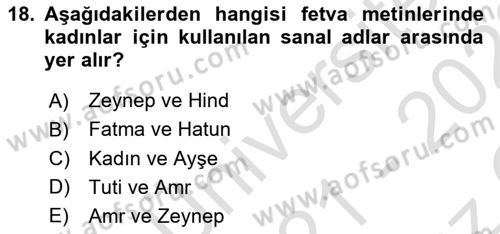 XVI. Yüzyıl Türk Edebiyatı Dersi 2021 - 2022 Yılı Yaz Okulu Sınav Soruları 18. Soru