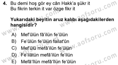 XVI. Yüzyıl Türk Edebiyatı Dersi 2021 - 2022 Yılı Yaz Okulu Sınav Soruları 4. Soru