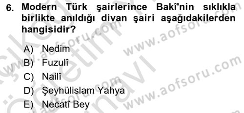 XVI. Yüzyıl Türk Edebiyatı Dersi 2021 - 2022 Yılı Yaz Okulu Sınav Soruları 6. Soru