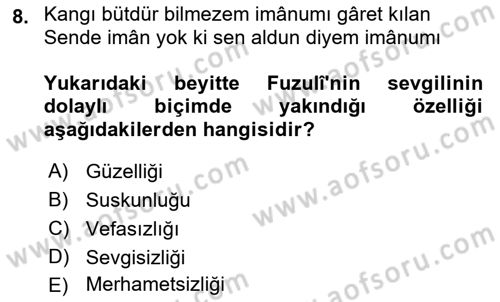 XVI. Yüzyıl Türk Edebiyatı Dersi 2021 - 2022 Yılı Yaz Okulu Sınav Soruları 8. Soru