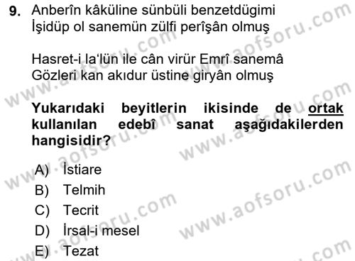 XVI. Yüzyıl Türk Edebiyatı Dersi 2021 - 2022 Yılı Yaz Okulu Sınav Soruları 9. Soru