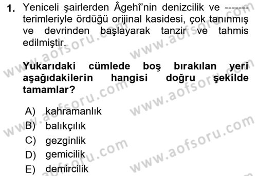 XVI. Yüzyıl Türk Edebiyatı Dersi 2022 - 2023 Yılı (Vize) Ara Sınav Soruları 1. Soru