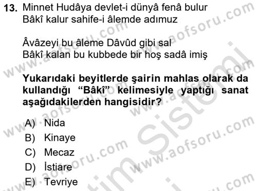 XVI. Yüzyıl Türk Edebiyatı Dersi 2022 - 2023 Yılı (Vize) Ara Sınav Soruları 13. Soru