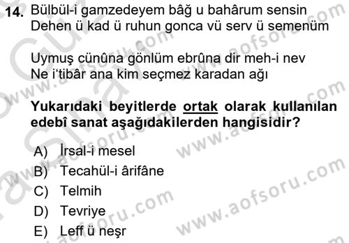 XVI. Yüzyıl Türk Edebiyatı Dersi 2022 - 2023 Yılı (Vize) Ara Sınav Soruları 14. Soru