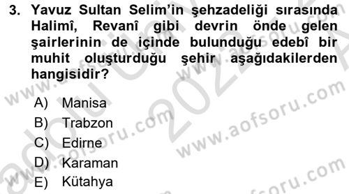 XVI. Yüzyıl Türk Edebiyatı Dersi 2022 - 2023 Yılı (Vize) Ara Sınav Soruları 3. Soru