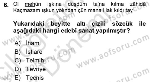 XVI. Yüzyıl Türk Edebiyatı Dersi 2022 - 2023 Yılı (Vize) Ara Sınav Soruları 6. Soru