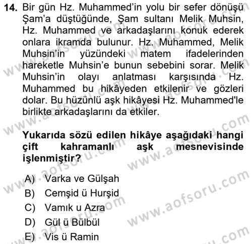 XVI. Yüzyıl Türk Edebiyatı Dersi 2022 - 2023 Yılı (Final) Dönem Sonu Sınav Soruları 14. Soru