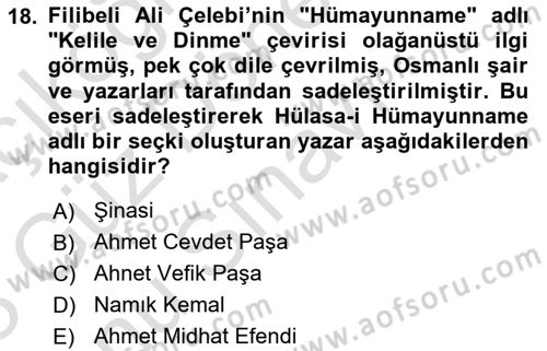 XVI. Yüzyıl Türk Edebiyatı Dersi 2022 - 2023 Yılı (Final) Dönem Sonu Sınav Soruları 18. Soru