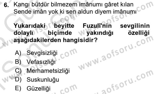 XVI. Yüzyıl Türk Edebiyatı Dersi 2022 - 2023 Yılı (Final) Dönem Sonu Sınav Soruları 6. Soru
