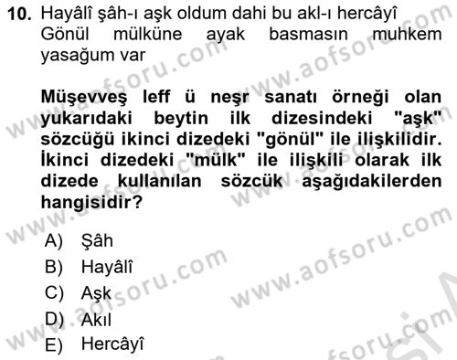 XVI. Yüzyıl Türk Edebiyatı Dersi 2022 - 2023 Yılı Yaz Okulu Sınav Soruları 10. Soru