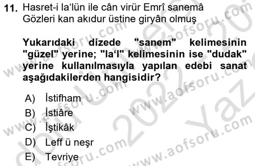 XVI. Yüzyıl Türk Edebiyatı Dersi 2022 - 2023 Yılı Yaz Okulu Sınav Soruları 11. Soru