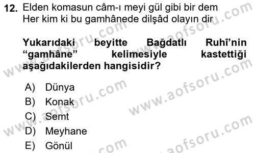 XVI. Yüzyıl Türk Edebiyatı Dersi 2022 - 2023 Yılı Yaz Okulu Sınav Soruları 12. Soru
