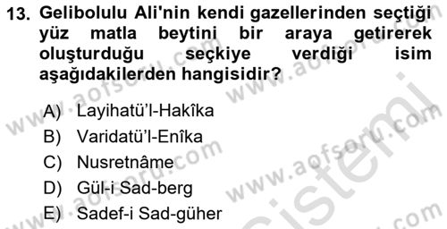XVI. Yüzyıl Türk Edebiyatı Dersi 2022 - 2023 Yılı Yaz Okulu Sınav Soruları 13. Soru