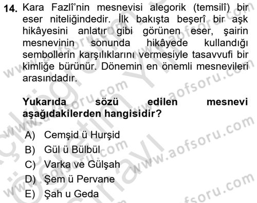 XVI. Yüzyıl Türk Edebiyatı Dersi 2022 - 2023 Yılı Yaz Okulu Sınav Soruları 14. Soru