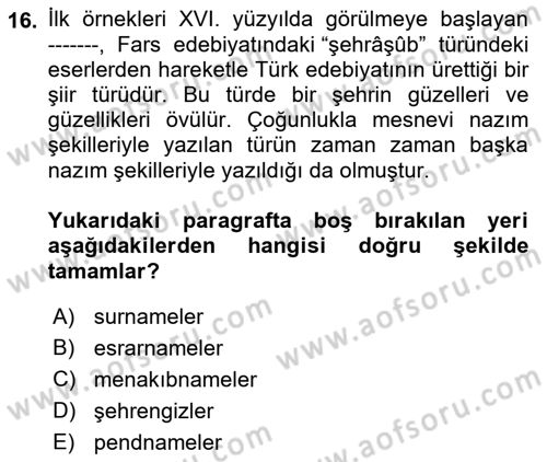 XVI. Yüzyıl Türk Edebiyatı Dersi 2022 - 2023 Yılı Yaz Okulu Sınav Soruları 16. Soru